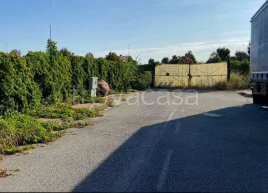 immagine annuncio 10 di 12