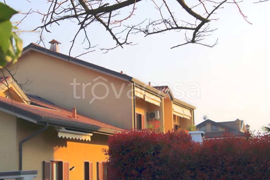 immagine annuncio 1 di 15