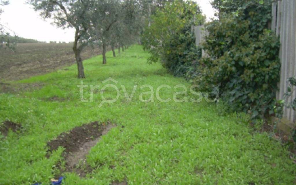 immagine annuncio 4 di 11