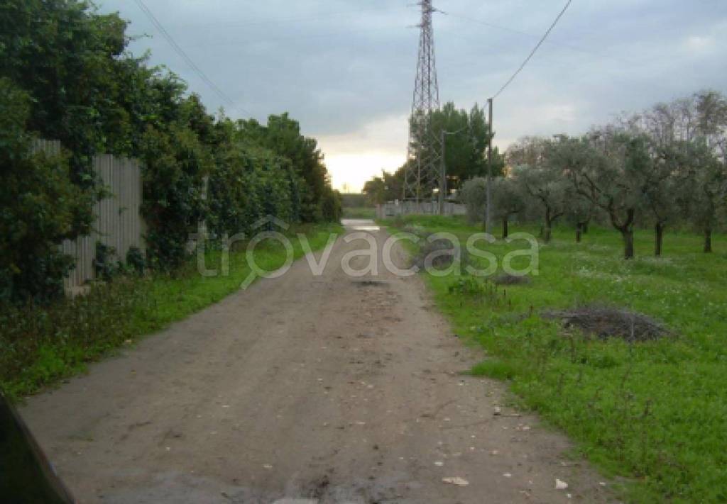 immagine annuncio 5 di 11