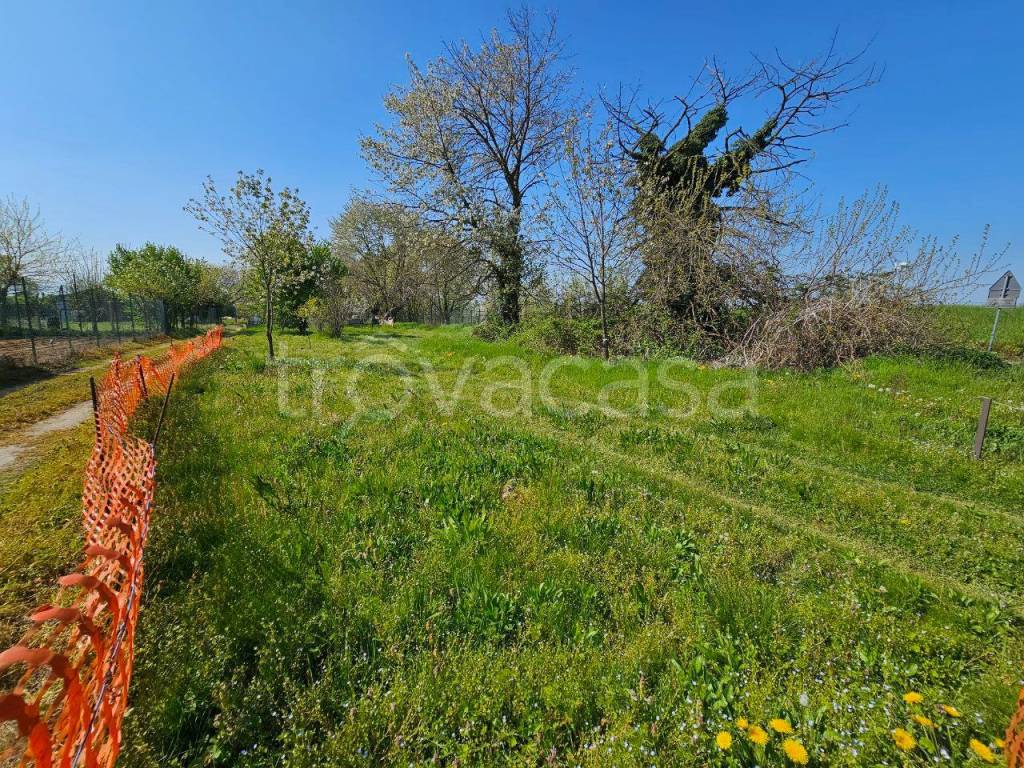 immagine annuncio 4 di 7