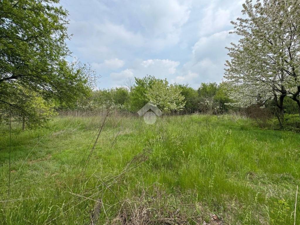 immagine annuncio 1 di 12