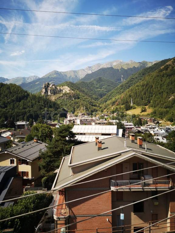 immagine annuncio 4 di 8