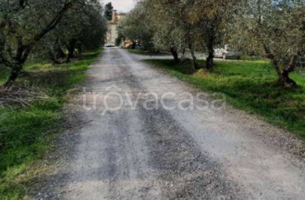 immagine annuncio 2 di 8