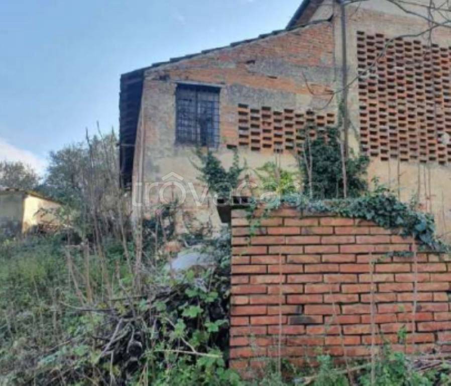immagine annuncio 4 di 8
