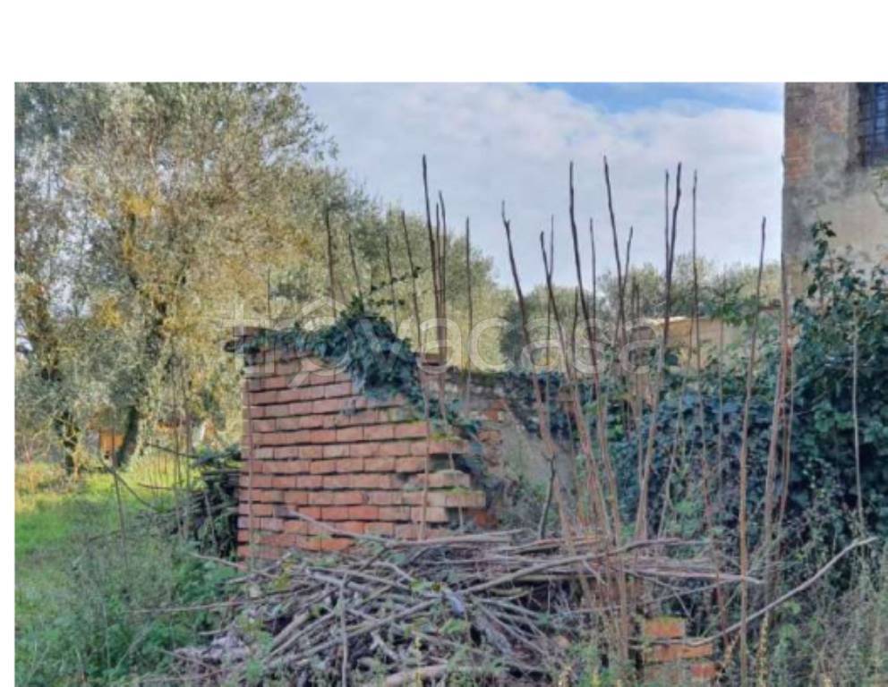 immagine annuncio 6 di 8