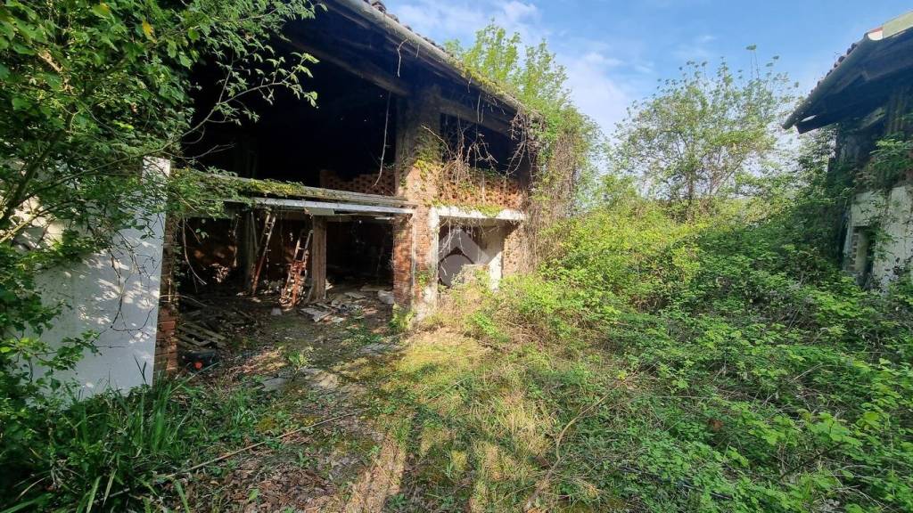 immagine annuncio 3 di 13