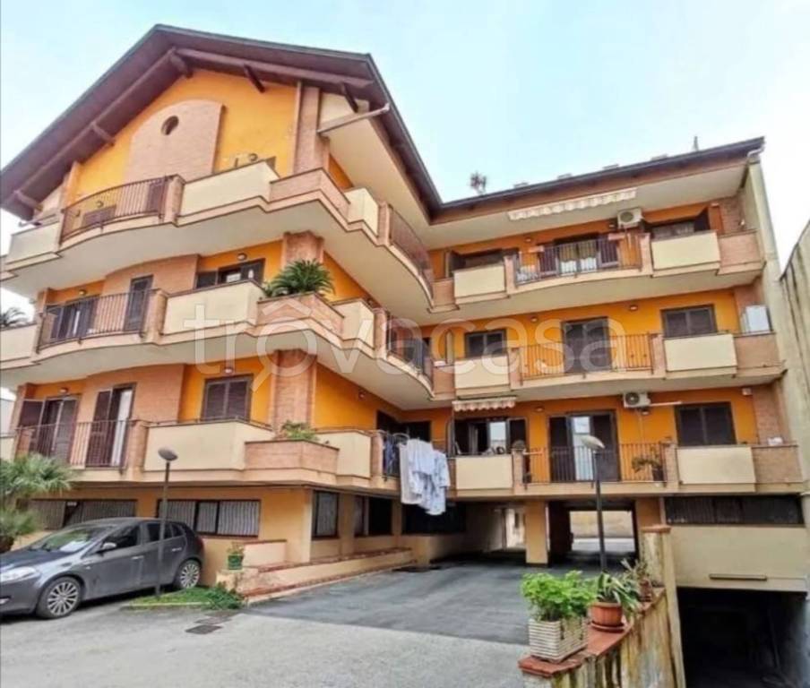 immagine annuncio 11 di 14