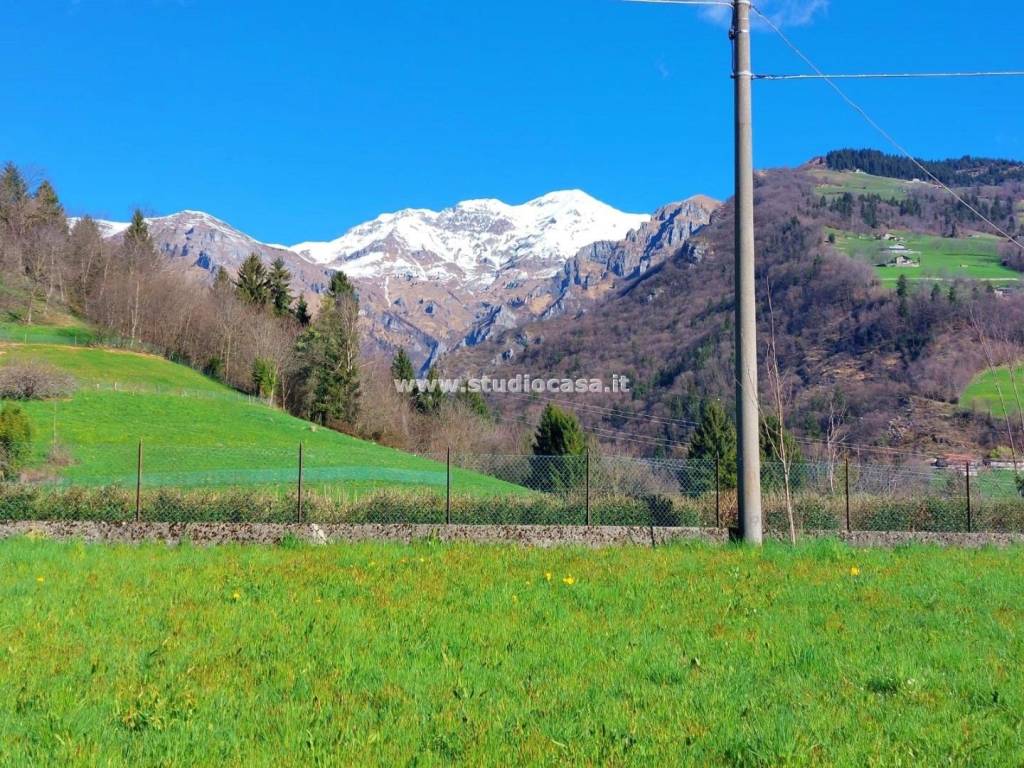 immagine annuncio 4 di 7