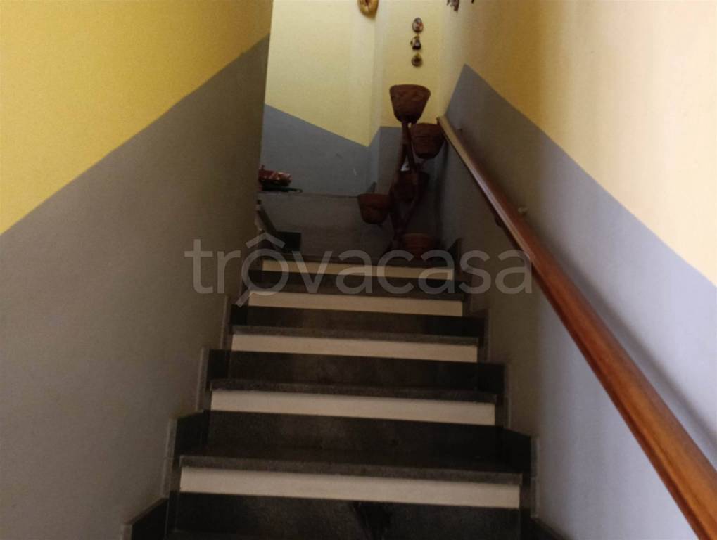 immagine annuncio 10 di 14