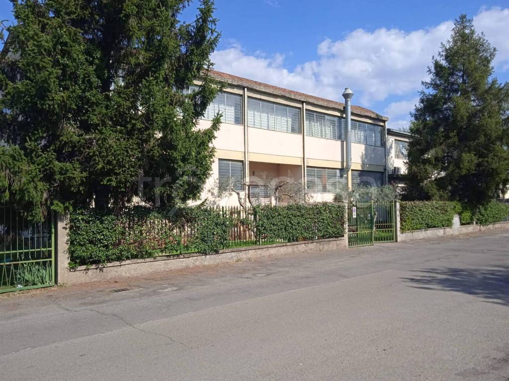 immagine annuncio 2 di 15