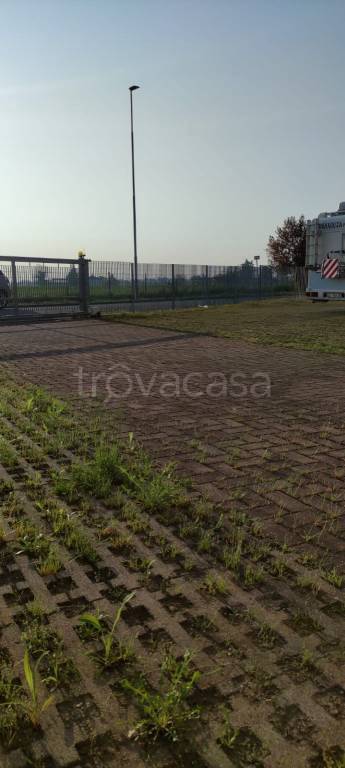 immagine annuncio 2 di 12