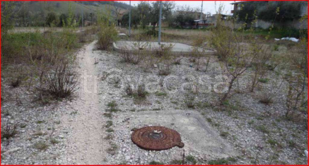 immagine annuncio 3 di 13