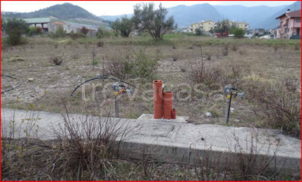 immagine annuncio 4 di 13