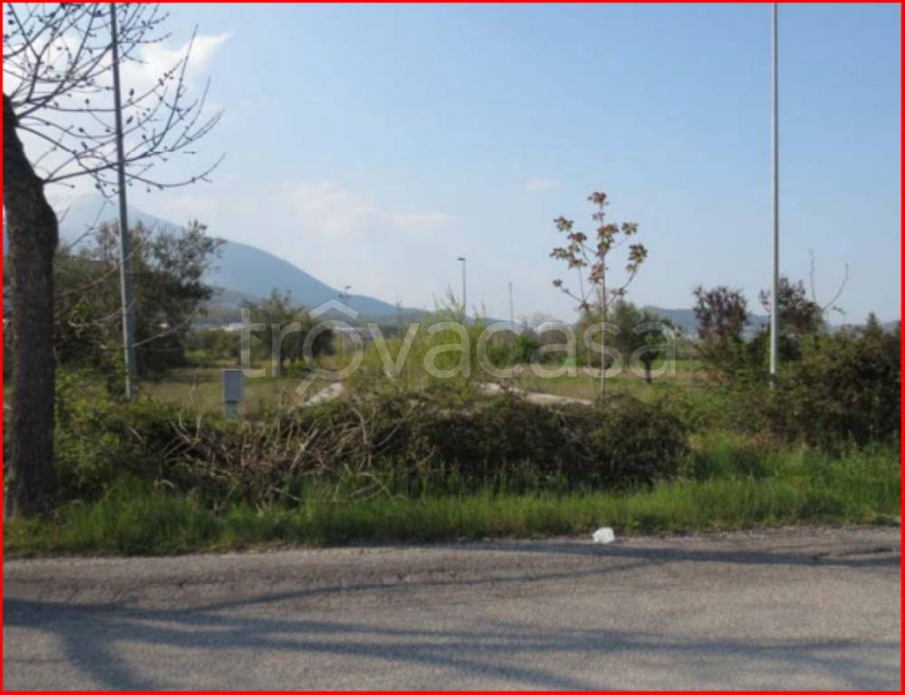 immagine annuncio 7 di 13