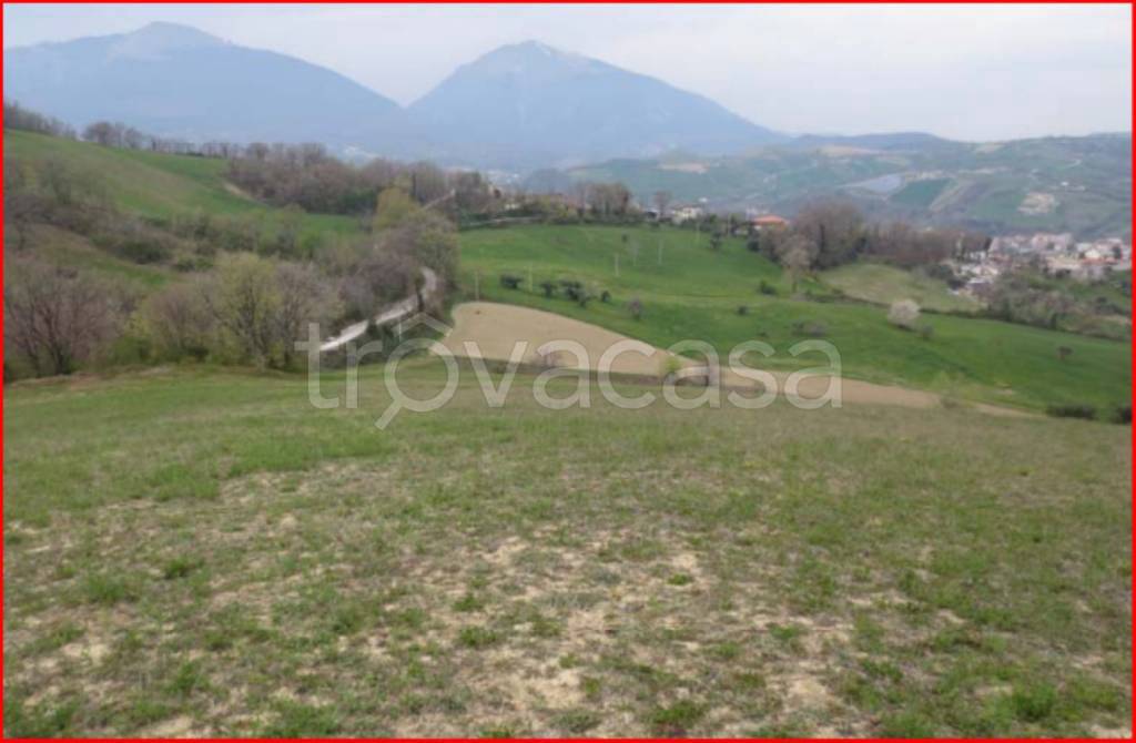 immagine annuncio 9 di 13
