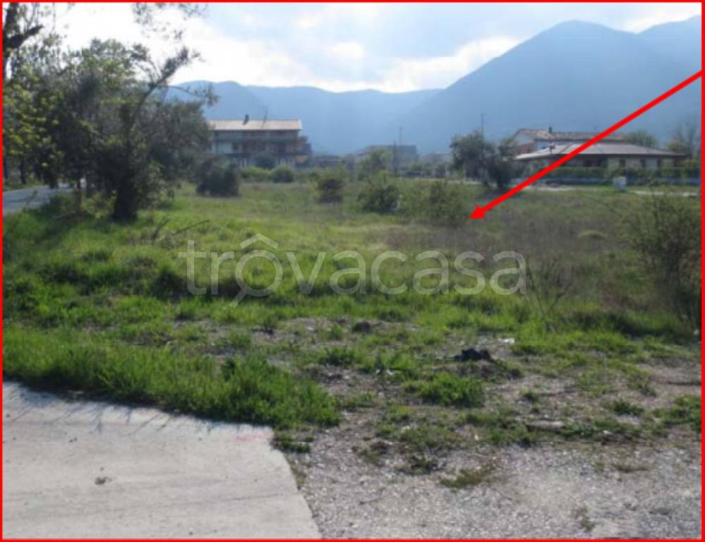 immagine annuncio 3 di 11