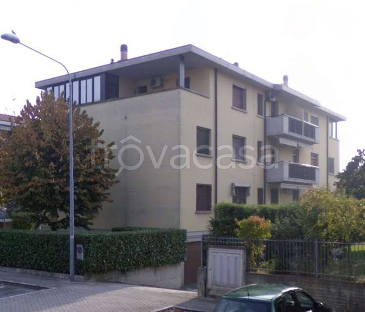 immagine annuncio 11 di 15