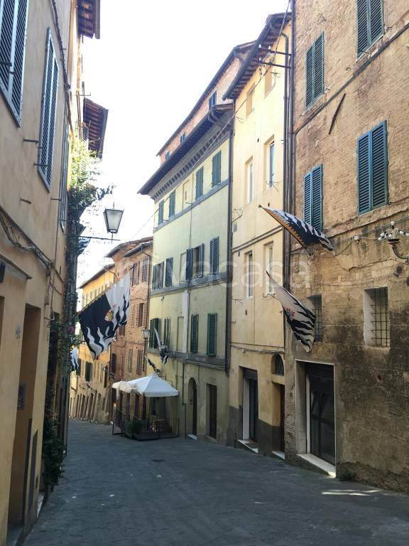 immagine annuncio 5 di 6