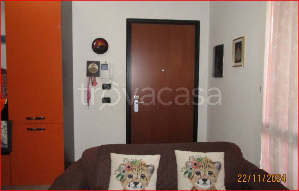immagine annuncio 1 di 11