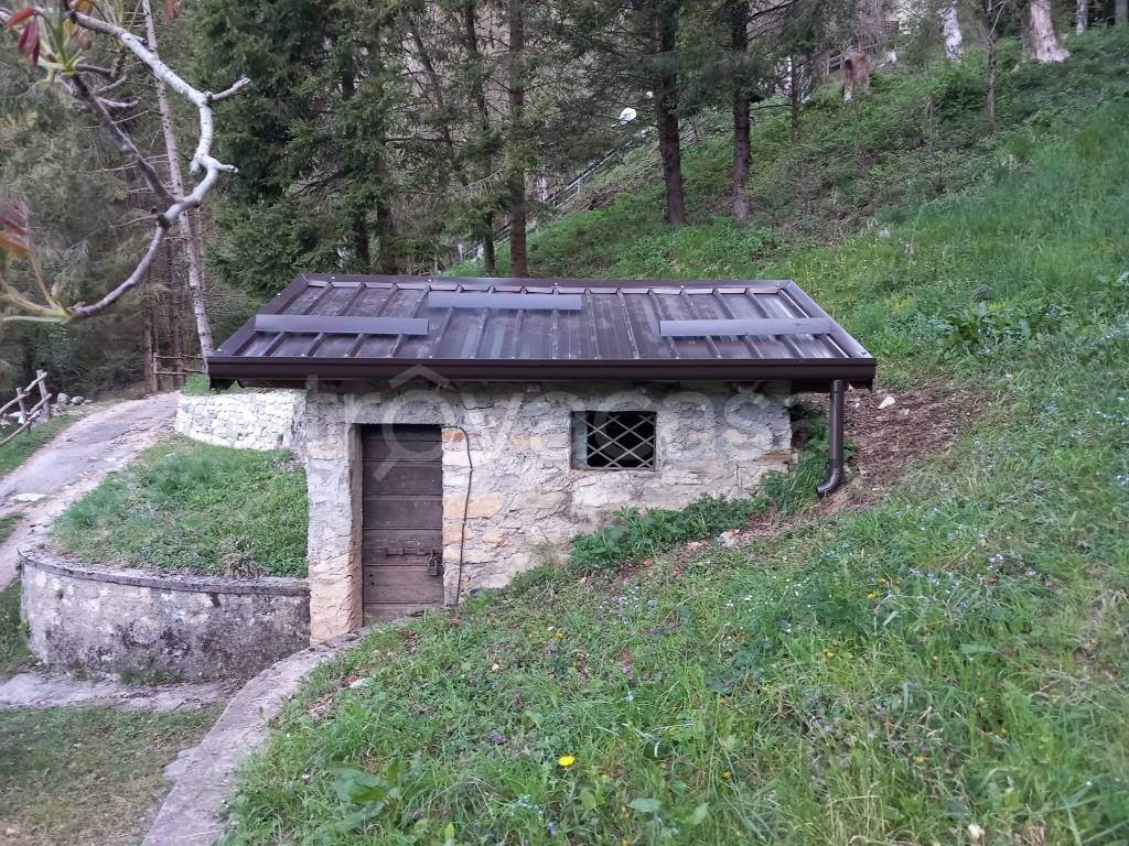 immagine annuncio 6 di 11