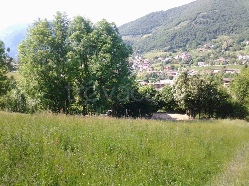 immagine annuncio 2 di 6