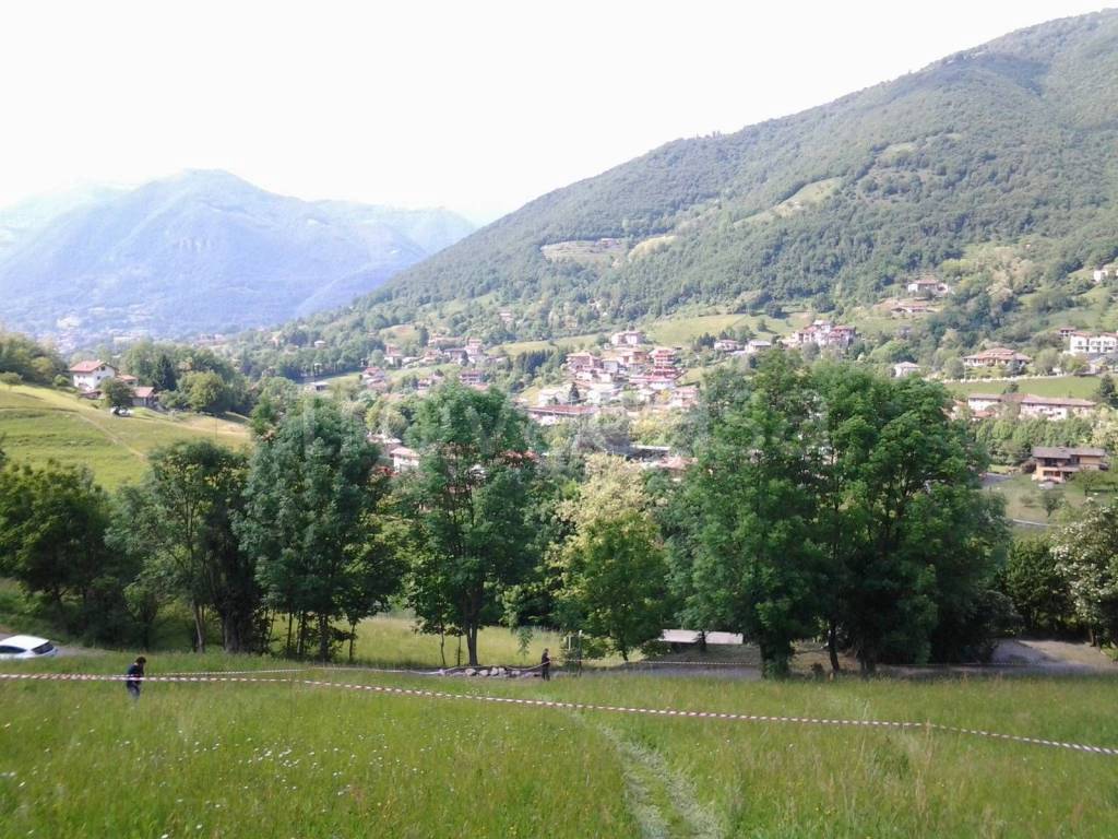 immagine annuncio 4 di 6
