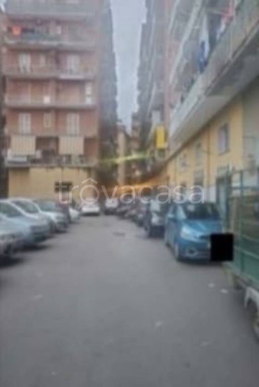 immagine annuncio 12 di 14