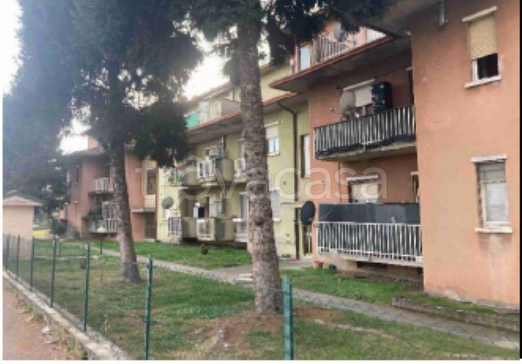 immagine annuncio 3 di 6