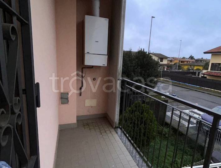 immagine annuncio 11 di 15