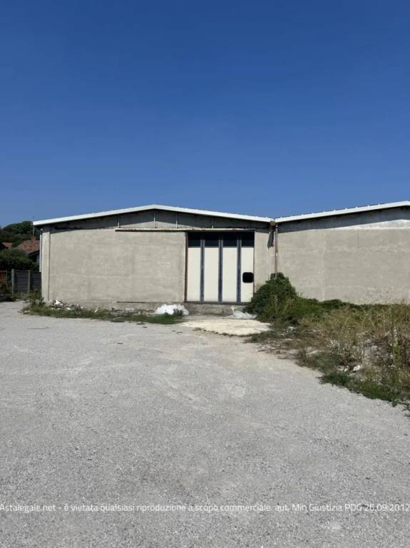 immagine annuncio 2 di 14