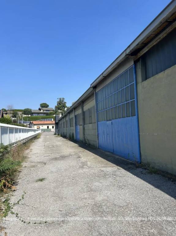 immagine annuncio 3 di 14