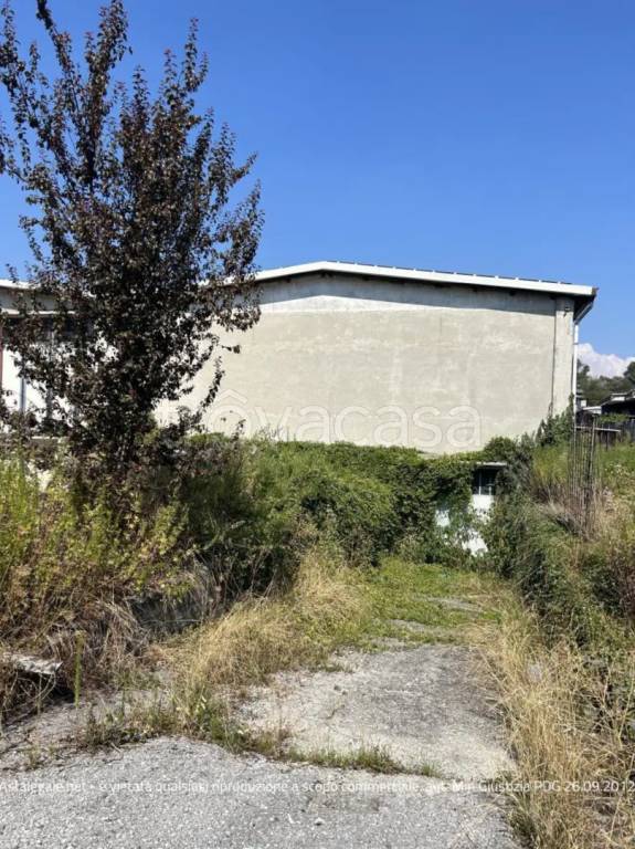 immagine annuncio 6 di 14