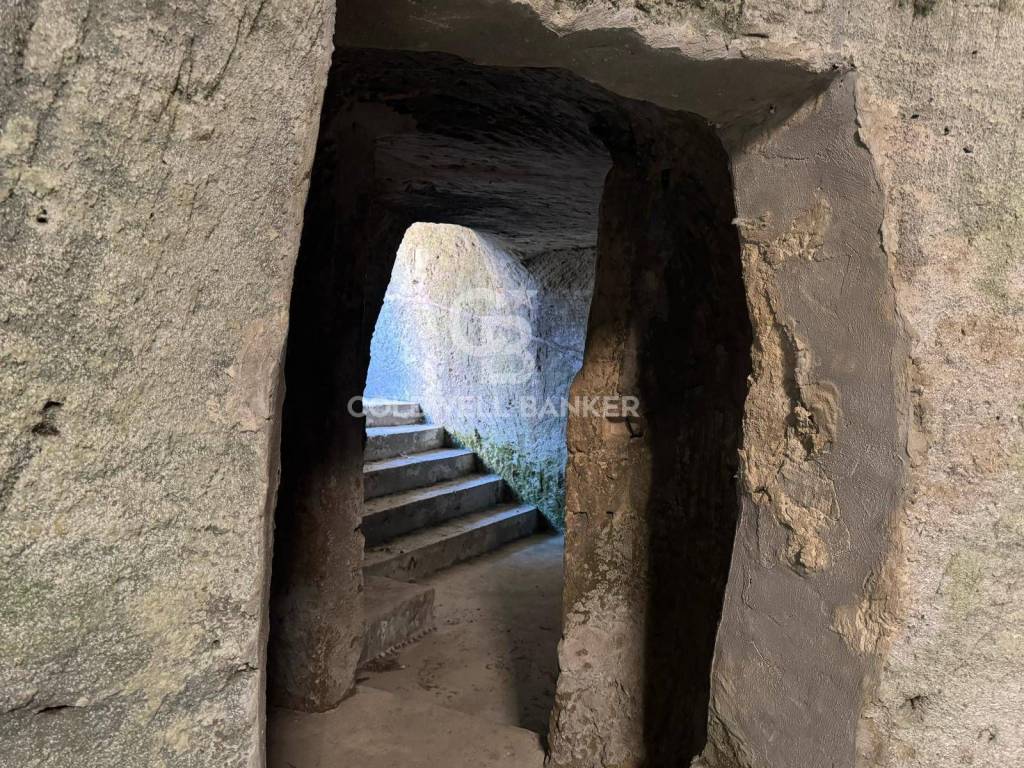 immagine annuncio 6 di 14