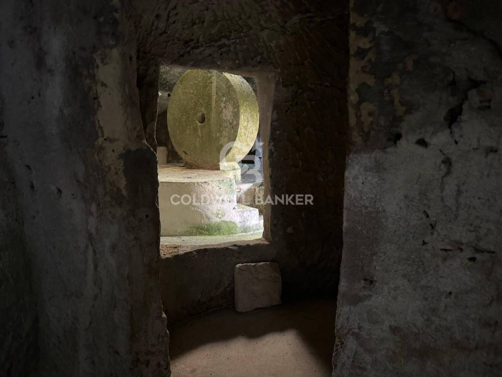 immagine annuncio 8 di 14