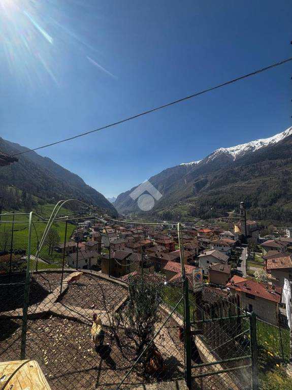 immagine annuncio 9 di 13