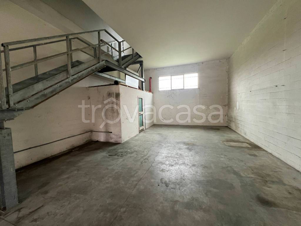 immagine annuncio 11 di 13