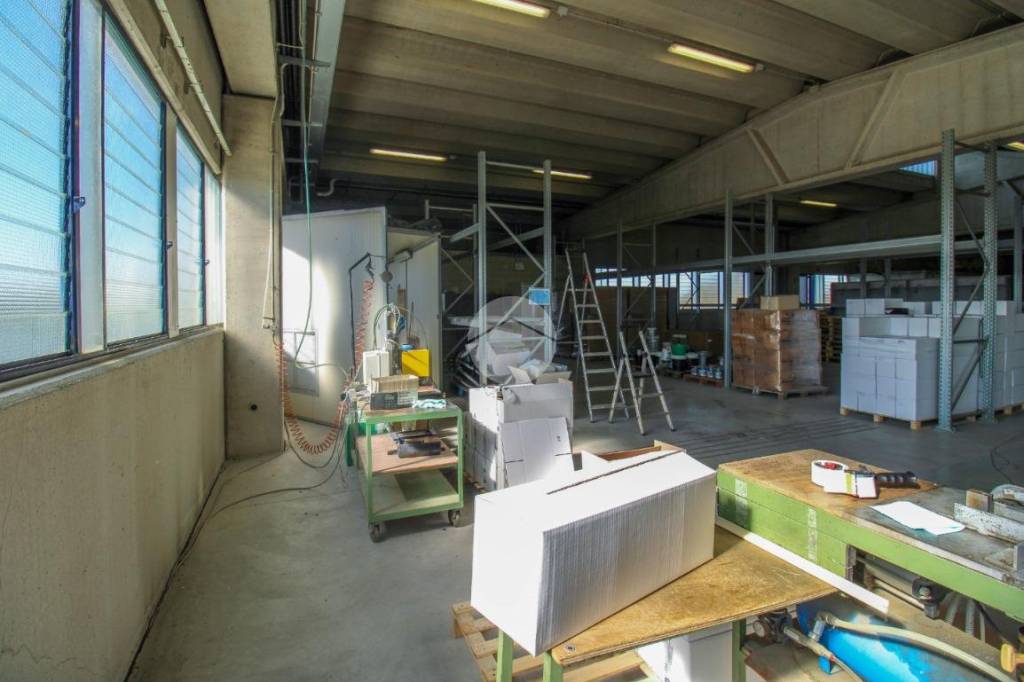 immagine annuncio 5 di 15