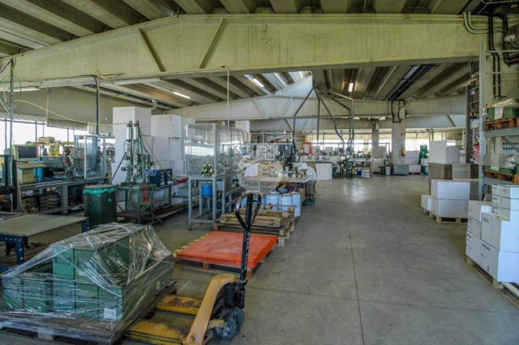 immagine annuncio 9 di 15