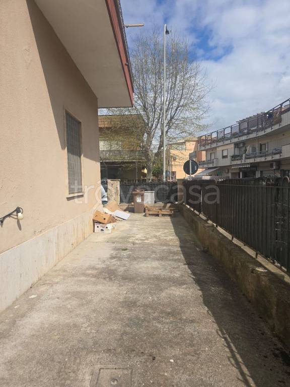 immagine annuncio 10 di 13