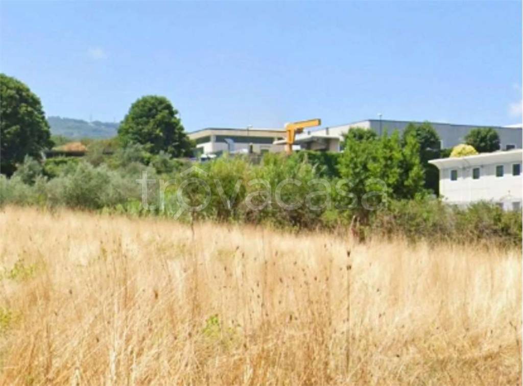 immagine annuncio 5 di 7