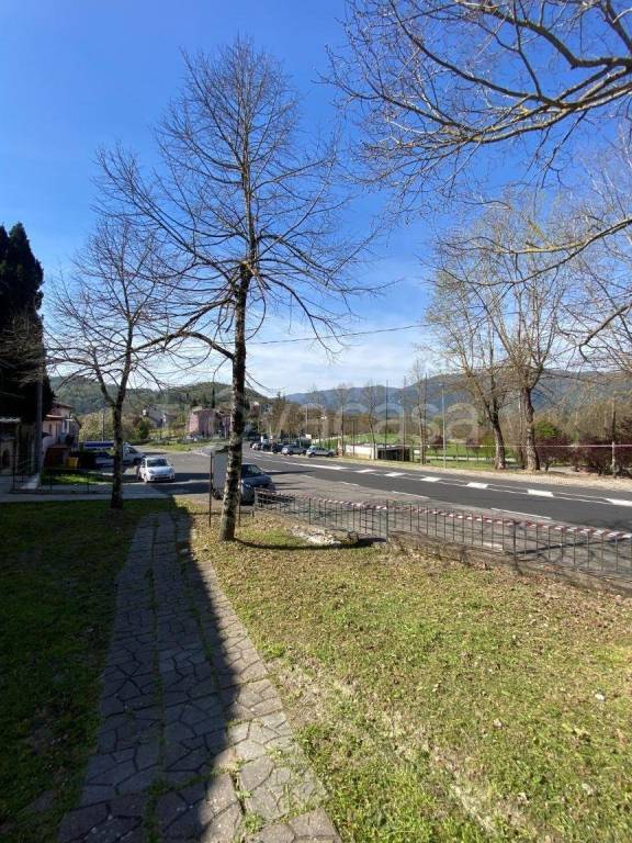 immagine annuncio 13 di 14