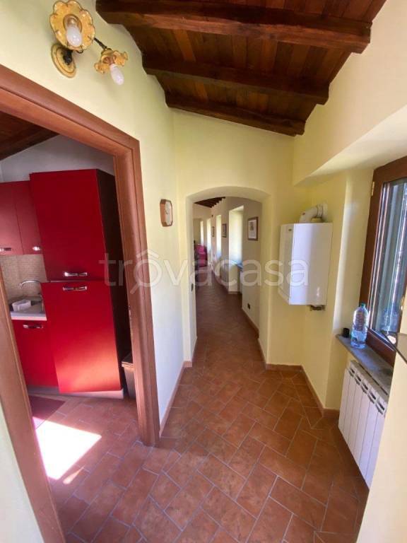immagine annuncio 5 di 14