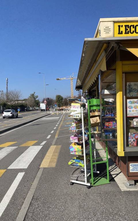 immagine annuncio 5 di 9