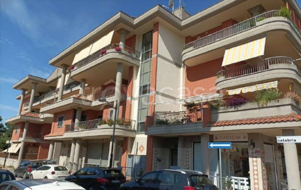 immagine annuncio 2 di 12