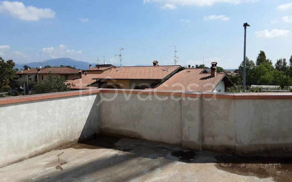 immagine annuncio 12 di 14