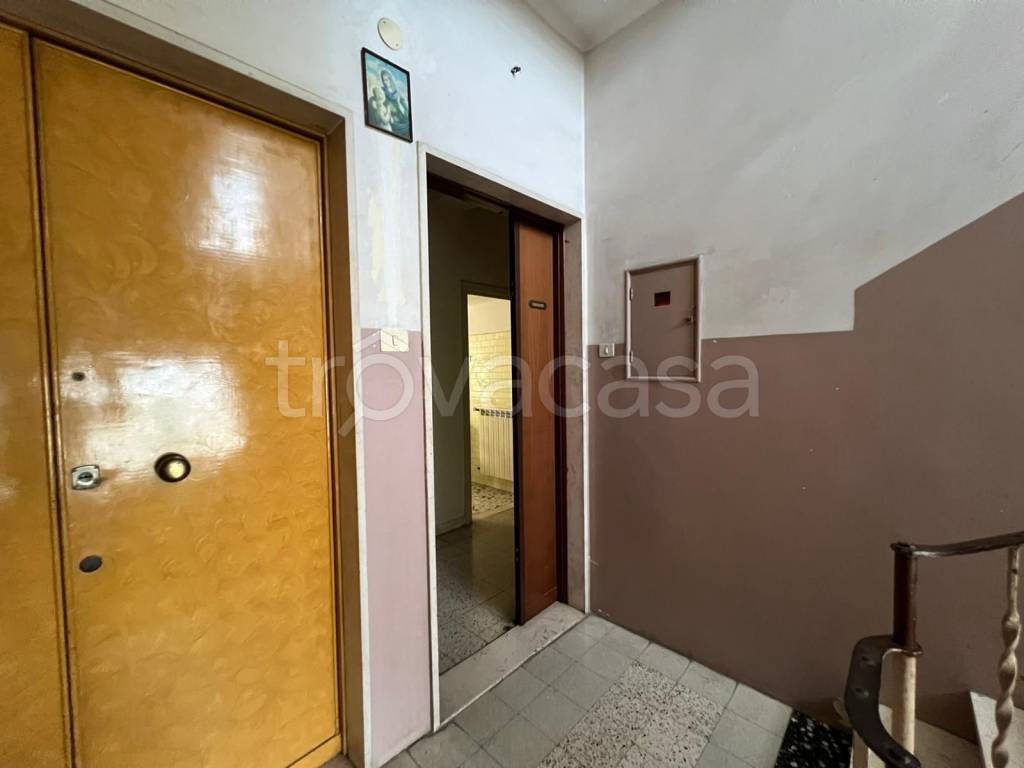immagine annuncio 3 di 14