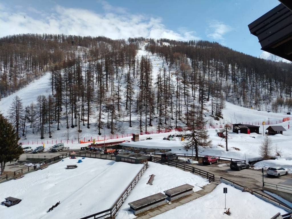 immagine annuncio 9 di 12