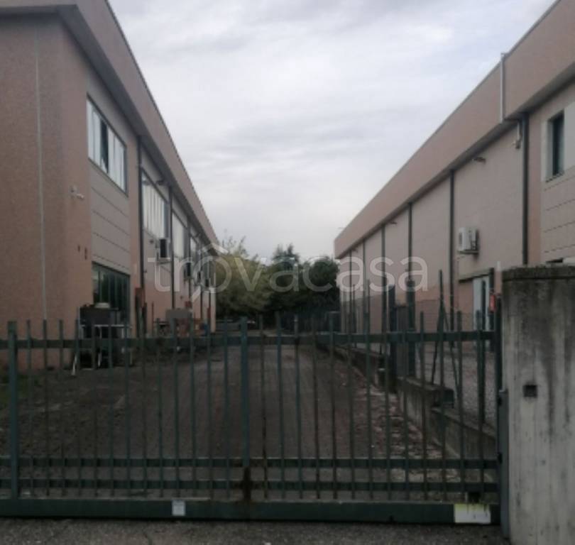 immagine annuncio 5 di 11