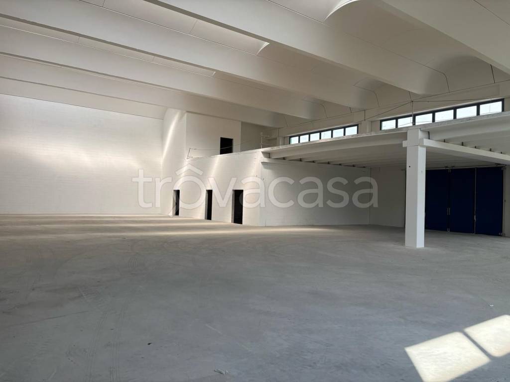 immagine annuncio 3 di 6